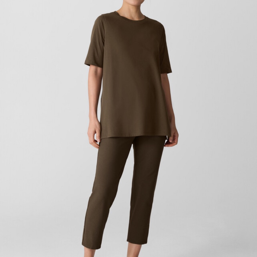 Nwt Eileen Fisher Brown Slim Ankle Pant Slim Leg Pull On Sz Xs